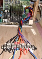 �^�[�~�i������}�U�[�ւ̔z���̗l�q�̉摜