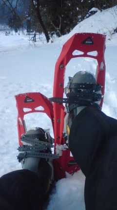 �X�m�[�V���[�𗚂���