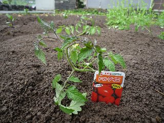 �g�}�g�A�C�R