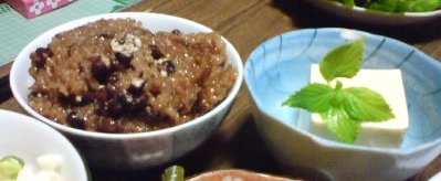 ���̓�\�΂̂��j���̐Ԕ�