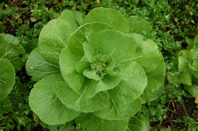 �Ƃ��������n�߂�����