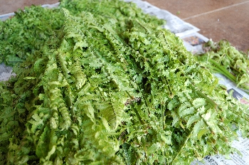 �̂��Ă���������