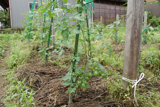 �~�j�g�}�g